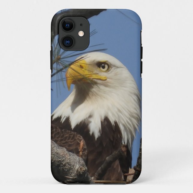 Mature Bald Eagle Close Up Head Case-Mate iPhone Case (Back)