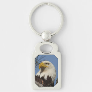 Mature Bald Eagle Close Up Head Key Ring