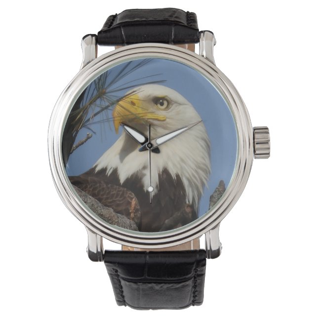 Mature Bald Eagle Close Up Head Watch (Front)
