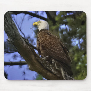 Mature Bald Eagle Gel Mouse Pad