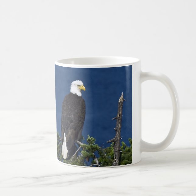 Mature Bald Eagle on Fir Tree Coffee Mug (Right)