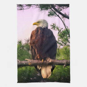 Mature Bald Eagle perched in Evergreen Tree Tea Towel