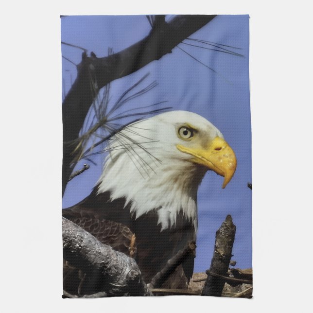 Mature Male Bald Eagle Close Up Head Shot Tea Towel (Vertical)