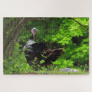 Mature Male Wild Turkey Jigsaw Puzzle