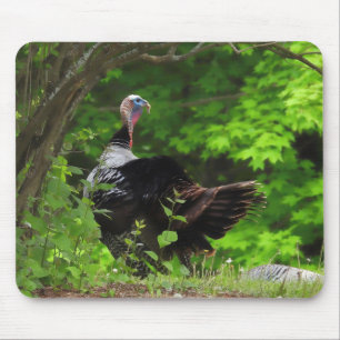 Mature Male Wild Turkey Mouse Pad