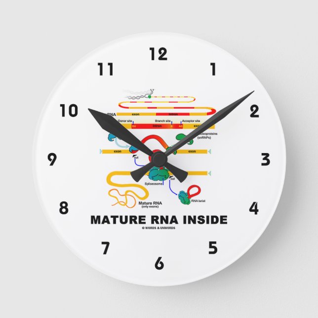 Mature RNA Inside Biology Humor Round Clock (Front)