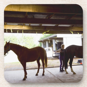 Mature Woman looking after horse Coaster