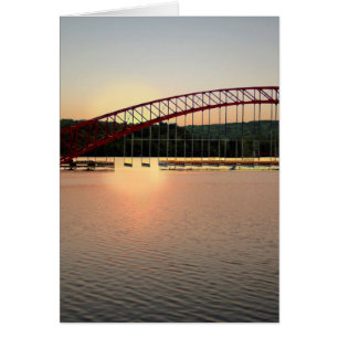 Maturity is Overrated Cards