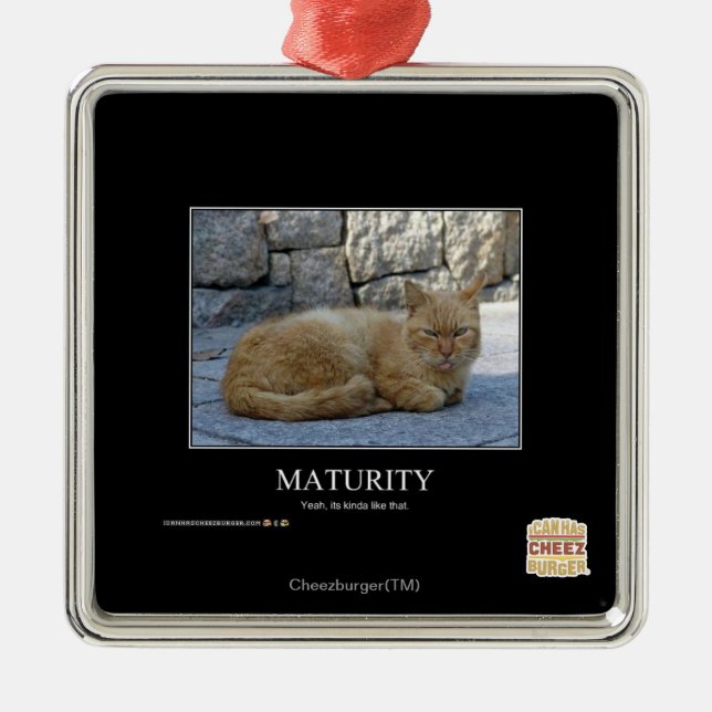 Maturity Metal Ornament (Front)