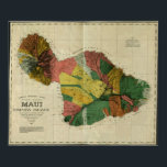 Maui, 1885, Vintage Hawaii Map Poster<br><div class="desc">Vintage 19th century map of the Hawaiian Islands.  High Resolution Image has been edited to clean up smudges and some tears.  Suitable for large or small sized framing.</div>