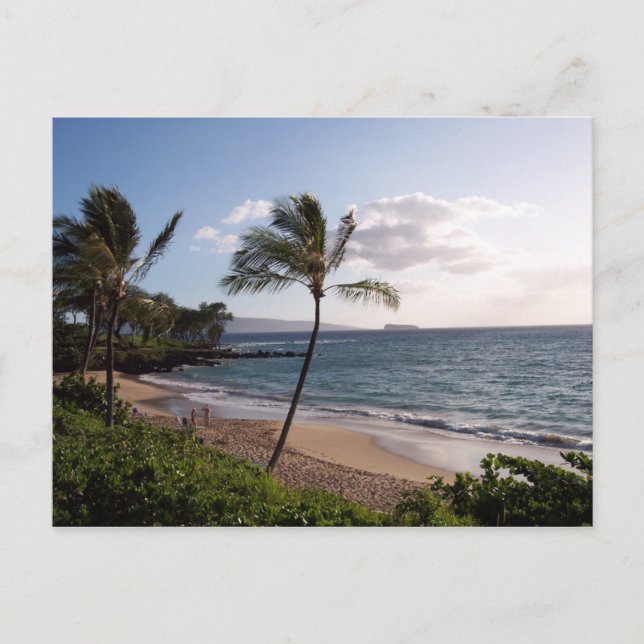 Maui Beach Postcard (Front)