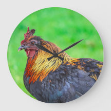 Maui chicken circlular wall clock