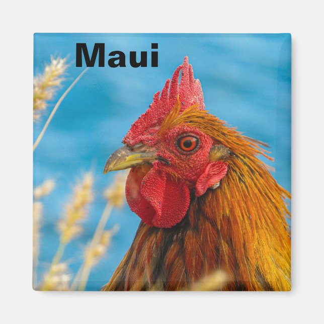 Maui Chicken Magnet (Front)