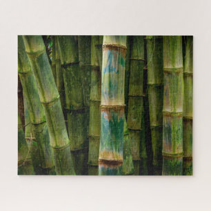 Maui, Hawaii, Bamboo Stalks Art Jigsaw Puzzle