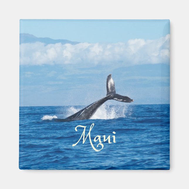 Maui Hawaii Ocean Whale Tail Magnet (Front)