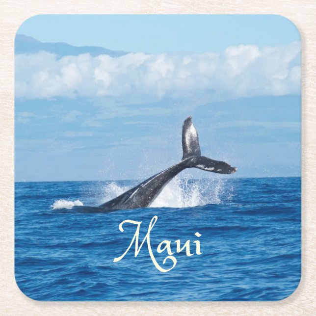 Maui Hawaii Ocean Whale Tail Square Paper Coaster (Front)