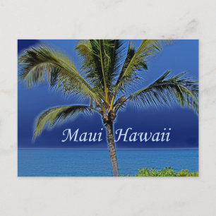 Maui Hawaii Palm Tree Ocean Postcard