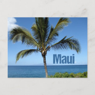 Maui Hawaii Palm Tree Scenic Postcard
