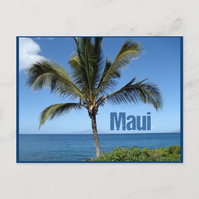 Maui Hawaii Palm Tree Scenic Postcard (Front)