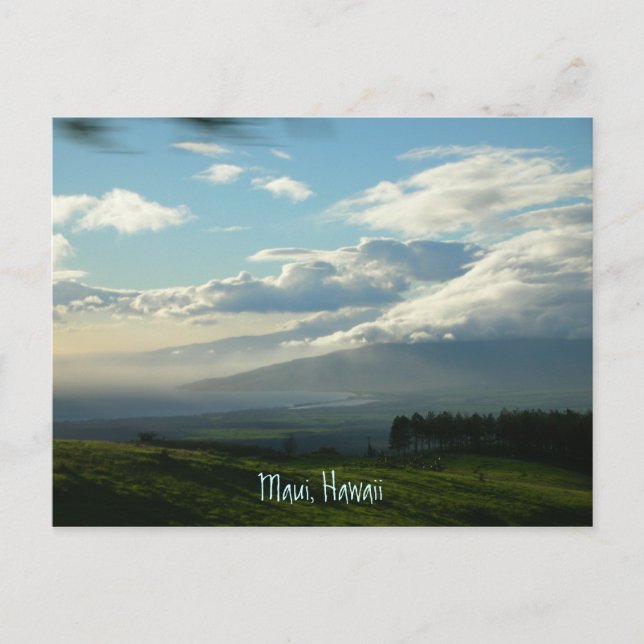 Maui, Hawaii Postcard (Front)