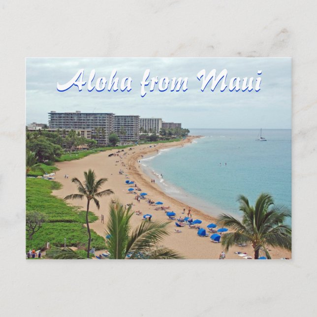 maui Hawaii Postcard (Front)