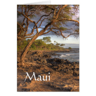 Maui ocean view