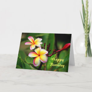 Maui Plumeria Flowers, Birthday Card