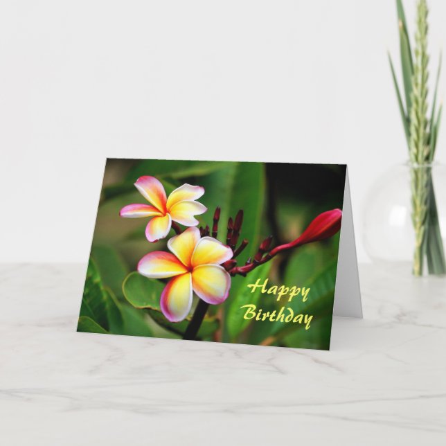 Maui Plumeria Flowers, Birthday Card (Front)