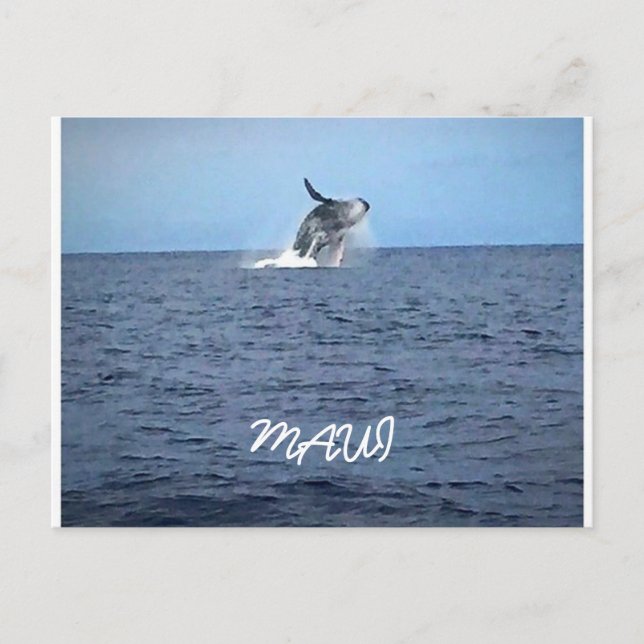 Maui Postcard (Front)