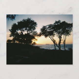 Maui Sunset Postcard