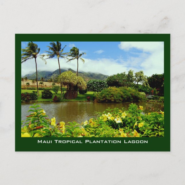 Maui Tropical Plantation Gardens Lagoon Postcard (Front)