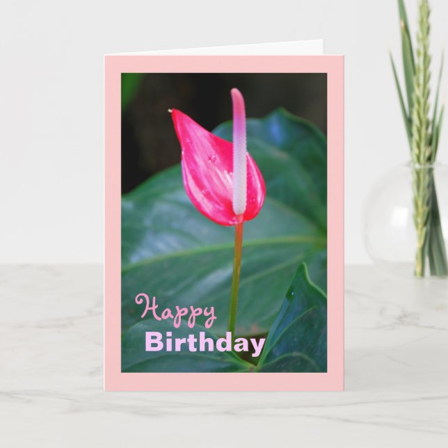 Maui Tropical Red Anthurium, Birthday Card (Front)
