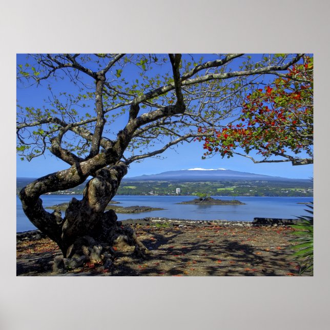 MAUNA KEA OVER HILO BAY POSTER (Front)