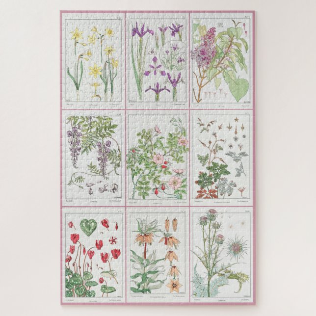 Maurice Pillard Verneuil Botanical Illustrations 1 Jigsaw Puzzle (Vertical)