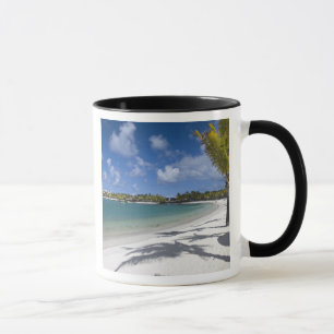 Mauritius, Eastern Mauritius, Trou d' Eau Douce, Mug