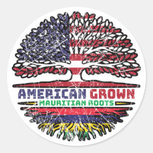 Mauritius Mauritian US American USA United States Classic Round Sticker