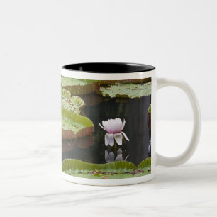 Mauritius, Pamplemousses, SSR Botanical Two-Tone Coffee Mug