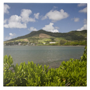 Mauritius, Southern Mauritius, Grand Sable, Tile