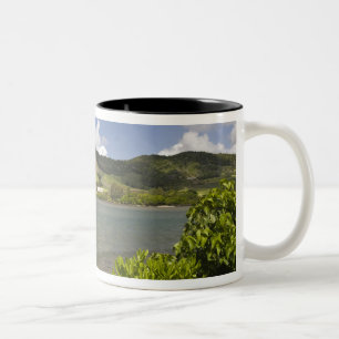 Mauritius, Southern Mauritius, Grand Sable, Two-Tone Coffee Mug