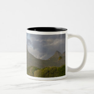 Mauritius, Western Mauritius, Tamarin, Montagne Two-Tone Coffee Mug