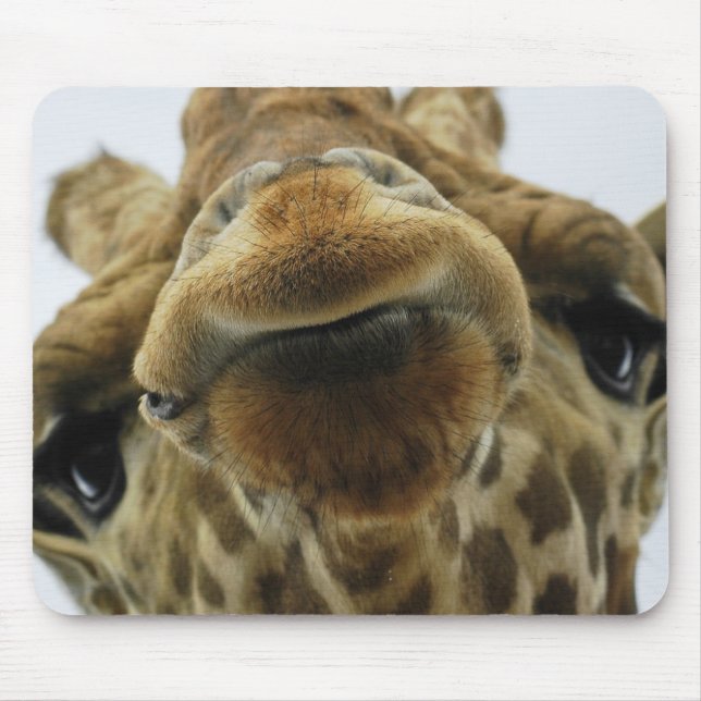 Mauspad Giraffe Kuss Mouse Pad (Front)
