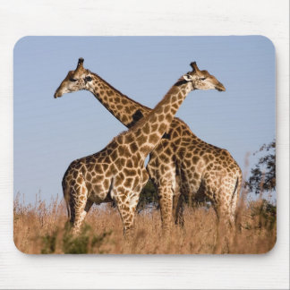 Mauspad Giraffen Mouse Pad