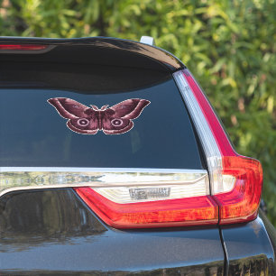 Mauve Gothic Moth