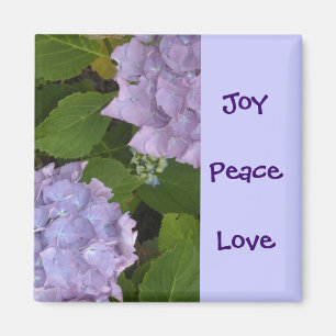 Mauve Hydrangeas Magnet