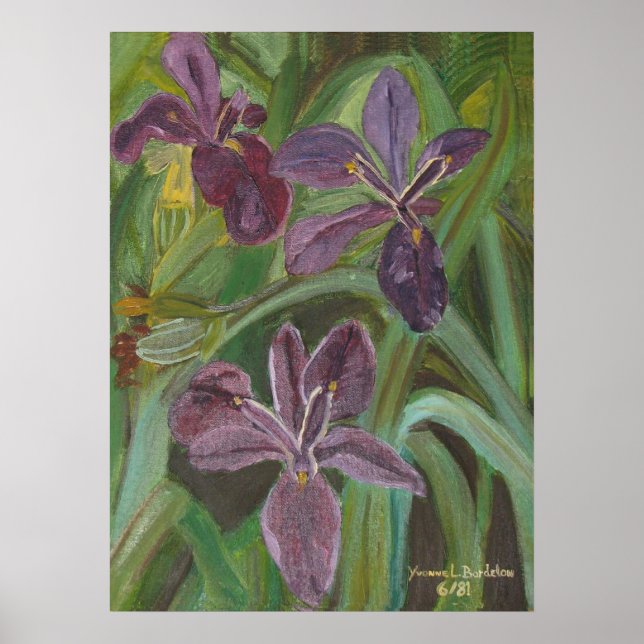 Mauve LA  Iris Poster (Front)