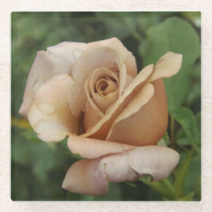 Mauve Rose Glass Coaster