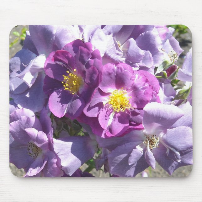 Mauve Roses Mouse Pad (Front)