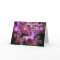 Mauve Singapore Orchid Birthday Card