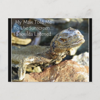 "Maw Knows Best" Postcard