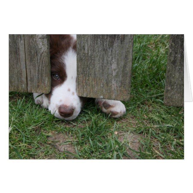 Max (Front Horizontal)